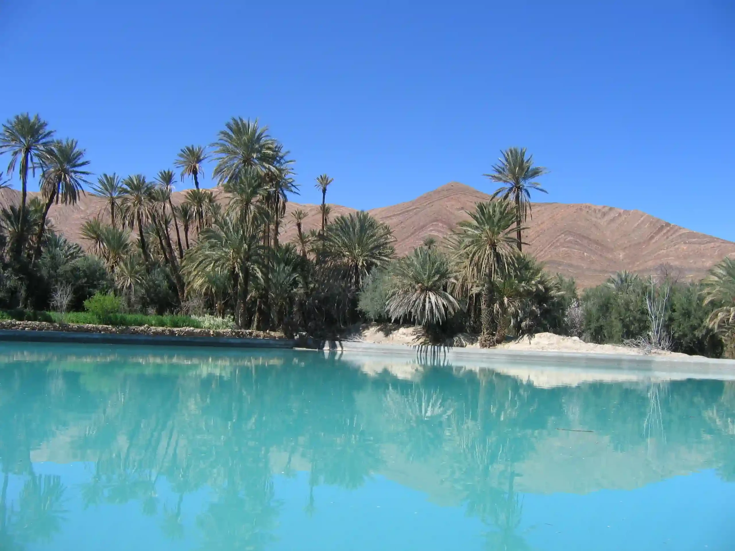 Traditional Berber village of Tagmout surrounded by desert landscapes