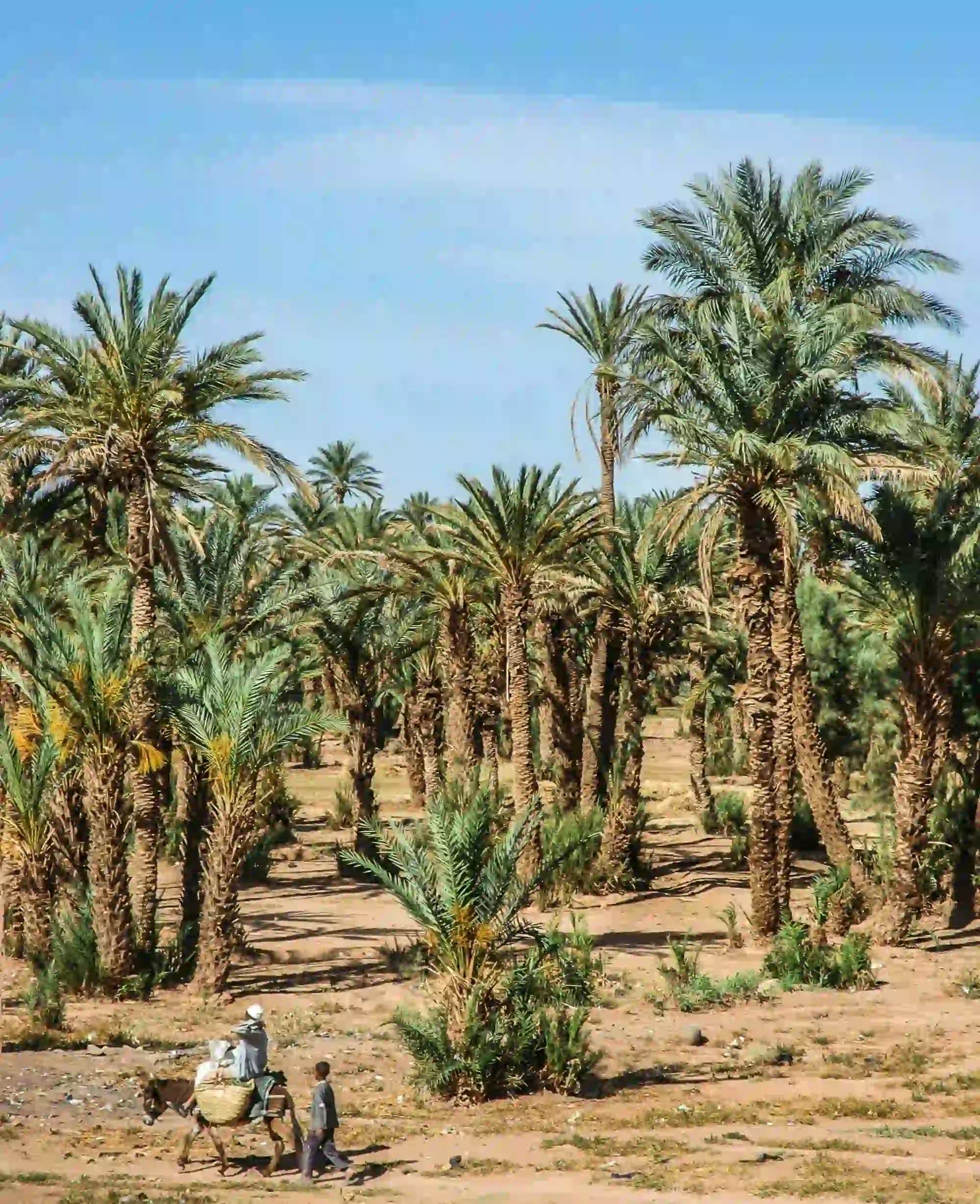 Scenic view of Zagora town and Draa Valley in Morocco