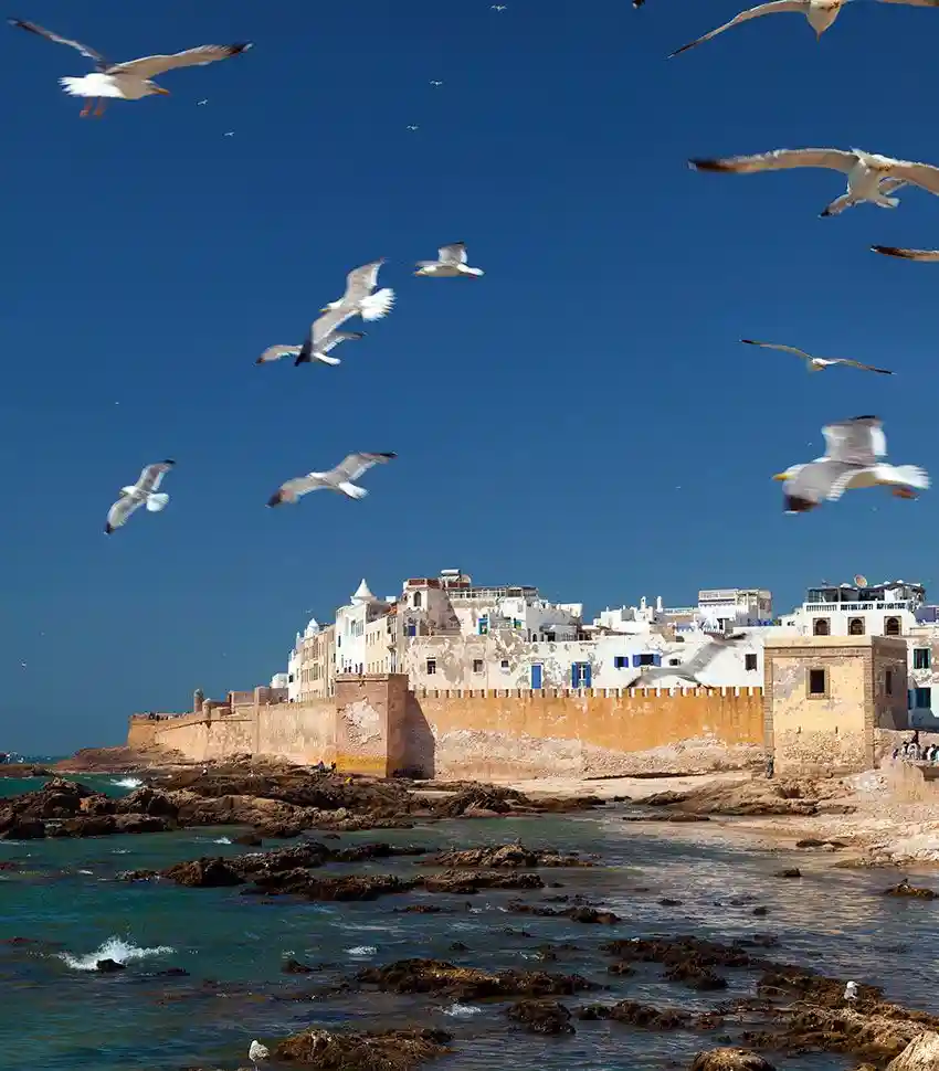 Cyclist riding along Essaouira’s Atlantic coast during the Raid MTB High Atlas